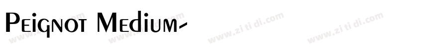 Peignot Medium字体转换